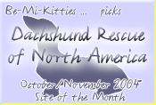 Dachshund Rescue of North America - October and November 2004 'Site of the Month'